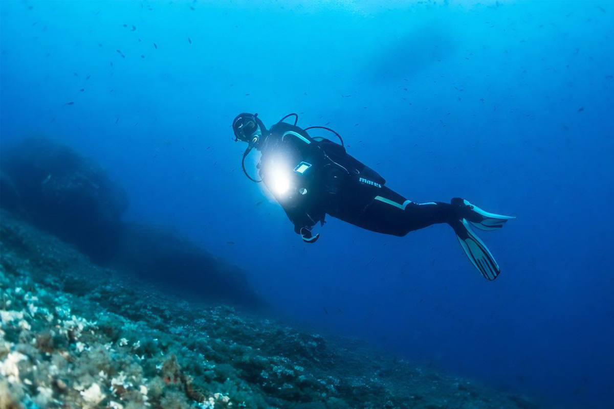 Scuba Diving in Mirissa Beach