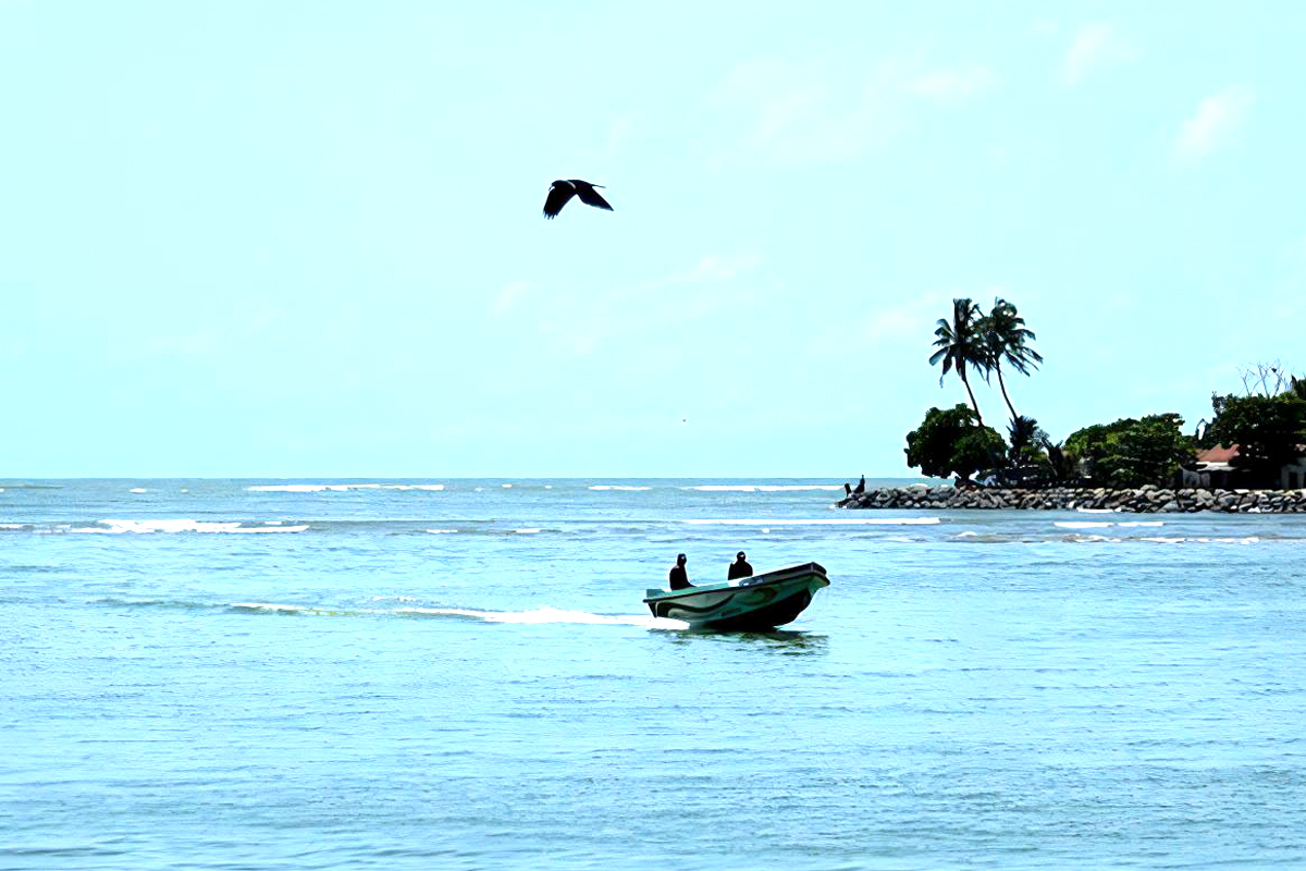 River Safari in Negombo Canal and Lagoon