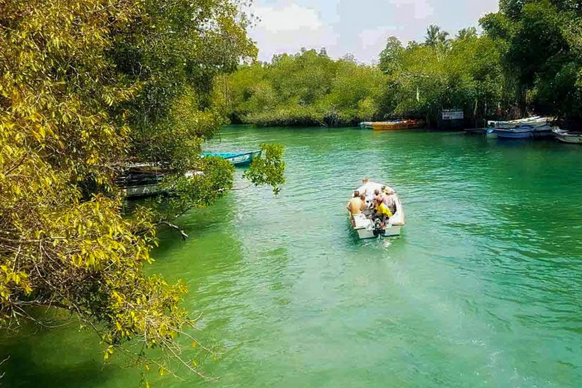 River Boat Safari on Madu River