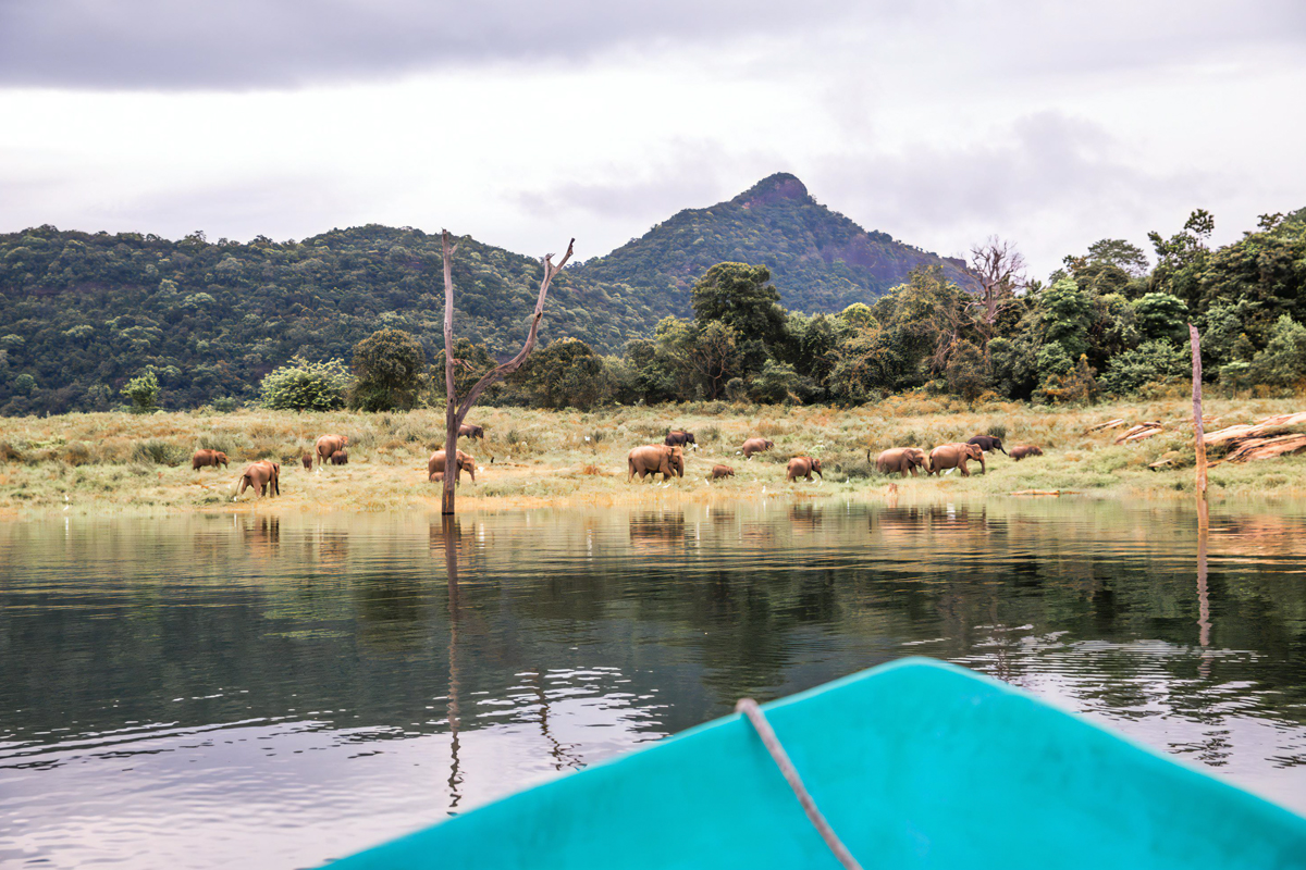 River Safari in Gal Oya Senanayake Lake