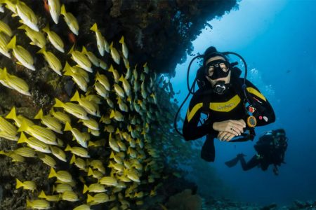 Scuba Diving in Trincomalee