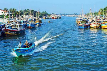 River Safari in Negombo Canal and Lagoon