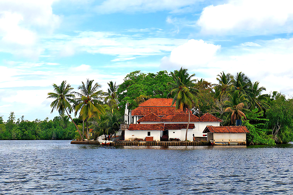 River Boat Safari on Madu River