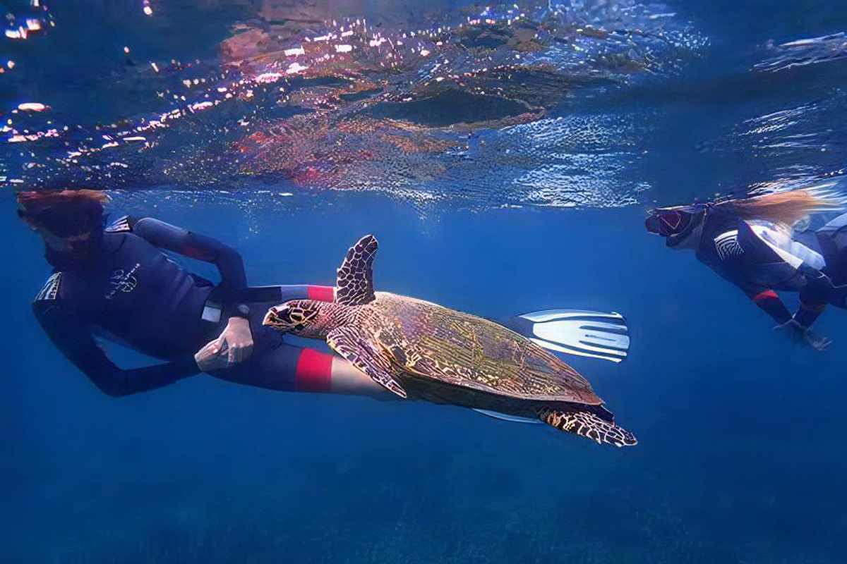 Snorkeling at Pigeon Island