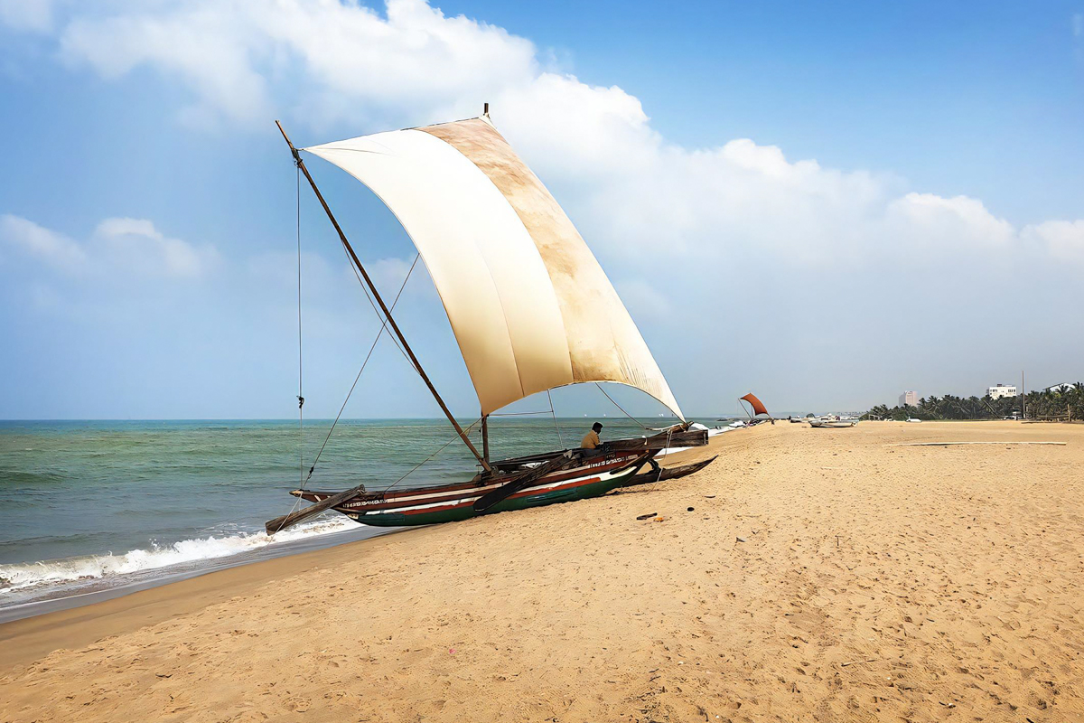 River Safari in Negombo Canal and Lagoon