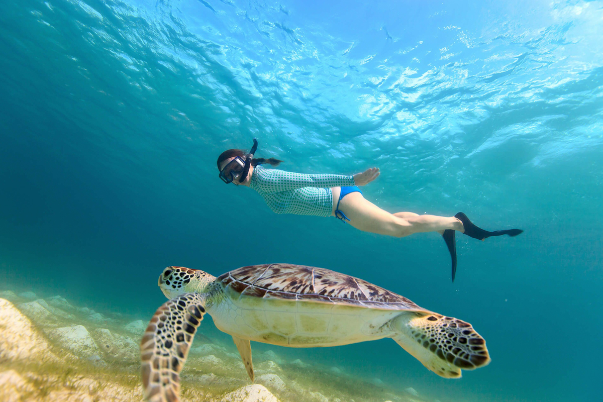 Scuba Diving in Mirissa Beach