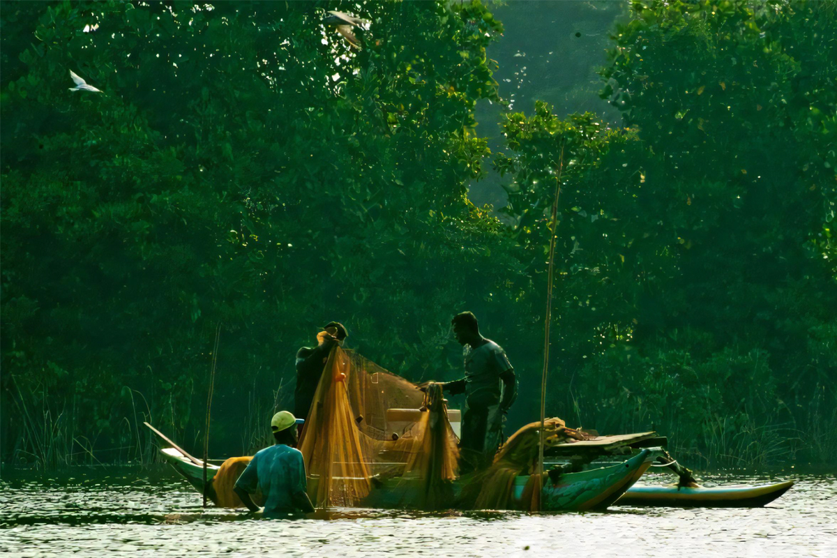 River Safari in Negombo Canal and Lagoon