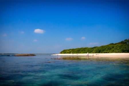 Lagoon Boat Safari in Trincomalee