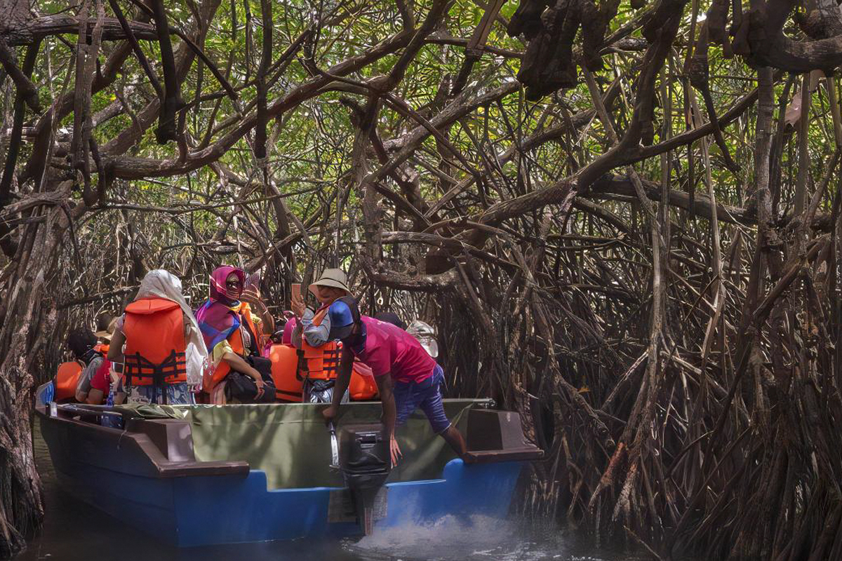 River Boat Safari on Madu River