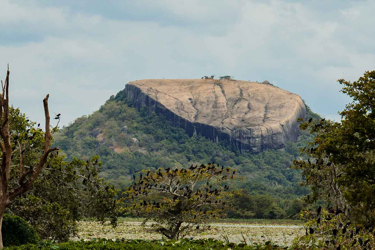 One day Excursion to Sigiriya from Pasikudah