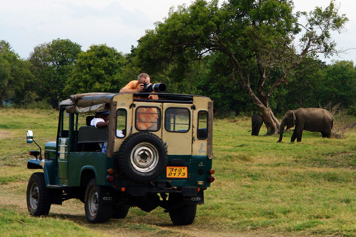 Yala National Park Safari